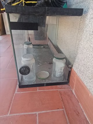 Terrario de cristal para reptiles
