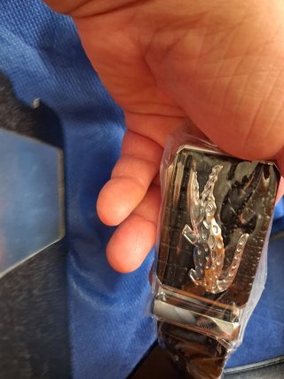 Cinturón Elegante Sin Estrenar DE MARCA VER