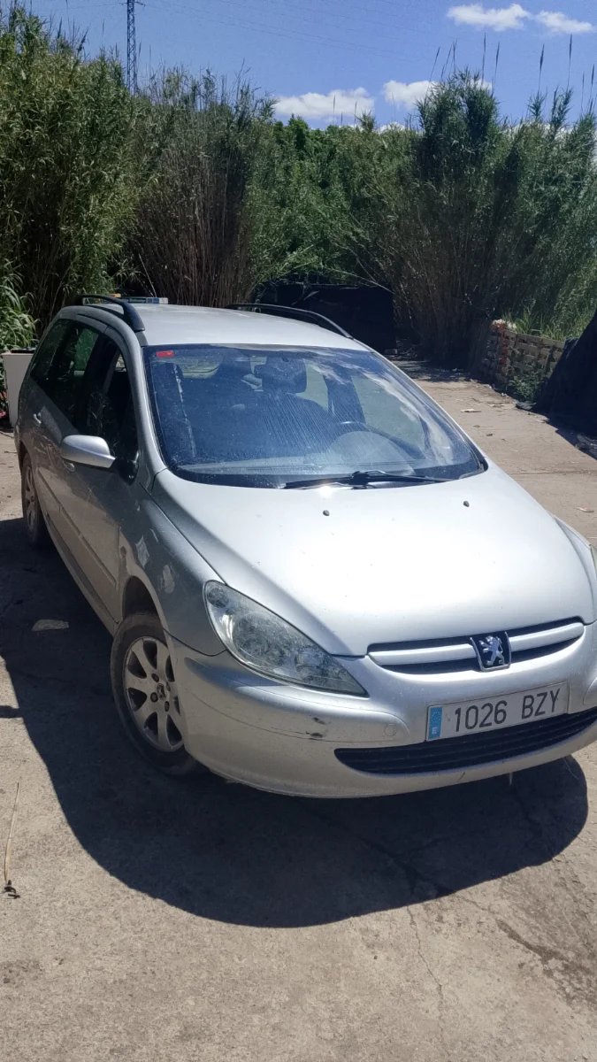Peugeot 307 2003 - foto 1