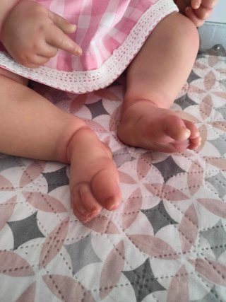 Reborn Charlotte