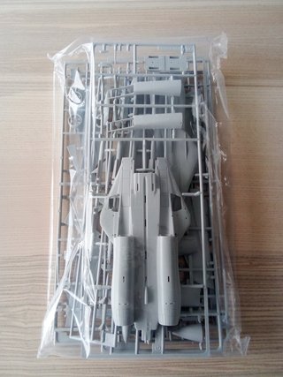F-14A TOMCAT LOW VISIBILITY MAQUETA 1/72 HASEGAWA