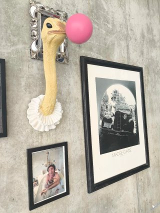 Avestruz Pop Art Kitsch Bubble gum chicle figura