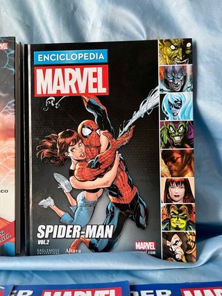 Lote de Spiderman