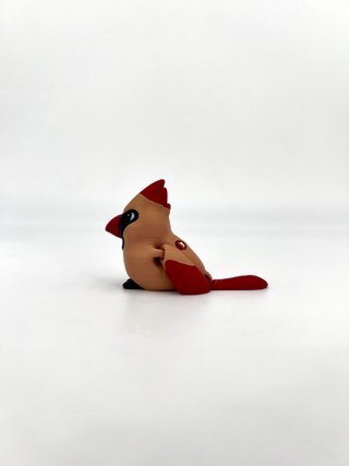 Cardinal Female Animascota – Cardenal Norteño Hemb