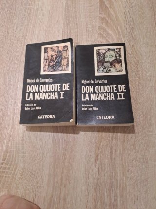 El ingenioso hidalgo don Quijote de la Mancha