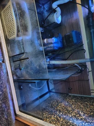 Acuario Marino 250L Completo
