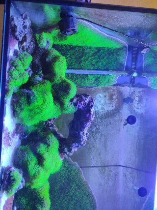 Acuario Marino 250L Completo