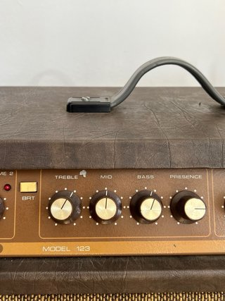 Amplificador Acoustic G120-112