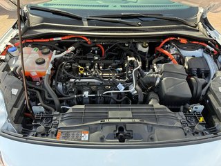 Ford Kuga 2022