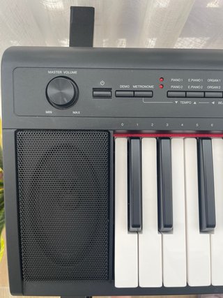 Teclado Yamaha Piaggero NP-12