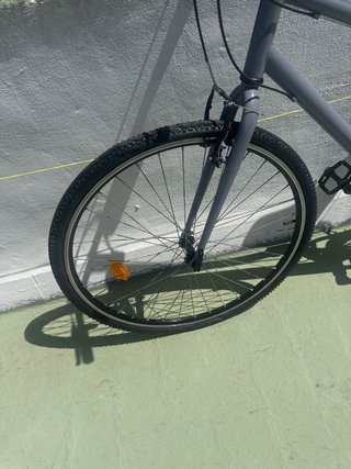 Bicicleta Riverside Gris