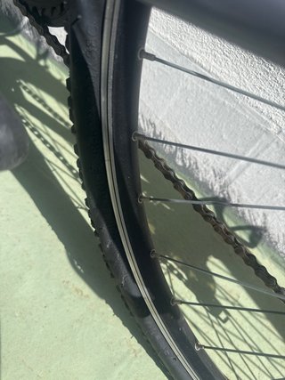 Bicicleta Riverside Gris
