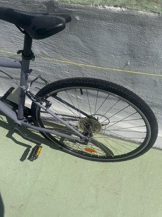 Bicicleta Riverside Gris