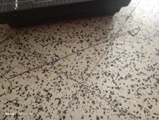 Jaula grande para pájaros