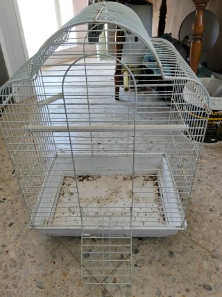 Jaula para pájaros y loros