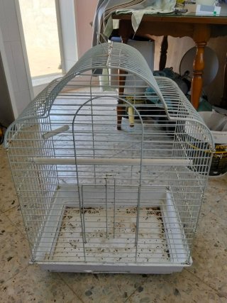 Jaula para pájaros y loros