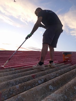 Limpieza, Pintura y reparaciones de  tejados