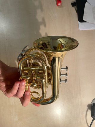 Pocket Trumpet Dorada