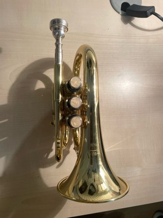Pocket Trumpet Dorada