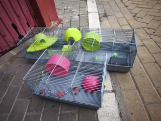 Jaula para hámster o ratón