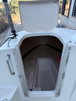Embarcación QuickSilver 450 Semicabinada