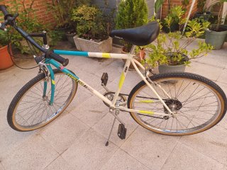 Bicicleta BH FORCE 12