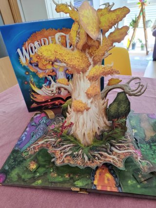 Wonder Book juego de mesa