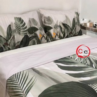 Coppia Lenzuola Renato Balestra Cotone
