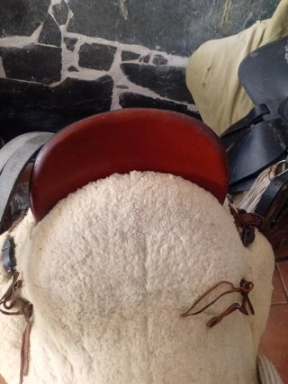 Montura y cabezal vaquero