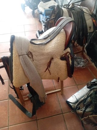 Montura y cabezal vaquero