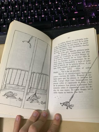 Lote de 2 libros en Valenciano