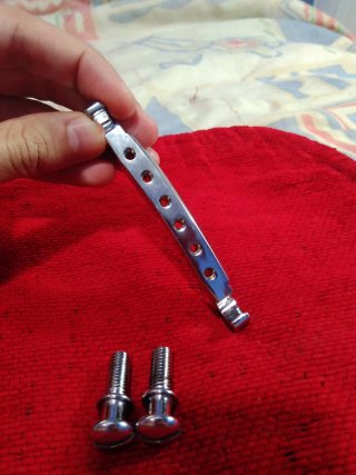 Puente y tornillos guitarra eléctrica