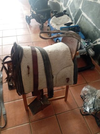 Lote montura y cabezal vaquero
