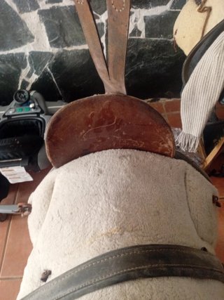Lote montura y cabezal vaquero