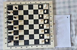 Ajedrez Skak - Chess