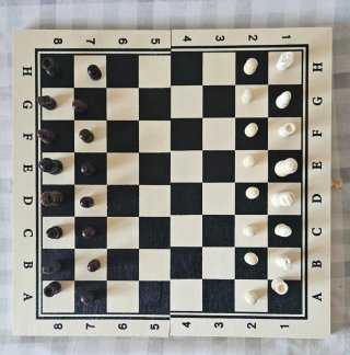 Ajedrez Skak - Chess