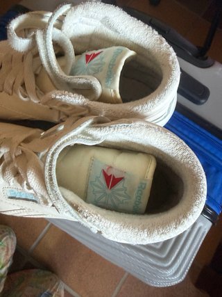 Tenis Reebok Classic Blancos