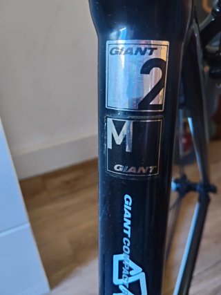 Bicicleta Giant TCR Aluxx SL T54