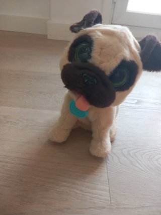 Peluche Perro Pug