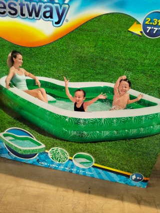 Piscina Familiar Bestway Tropical Paradise 54336