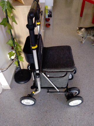 Andador Carrito CARLETT CARE