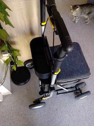Andador Carrito CARLETT CARE