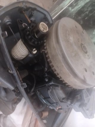 Motor fueraborda Evinrude
