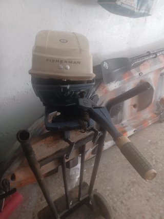 Motor fueraborda Evinrude