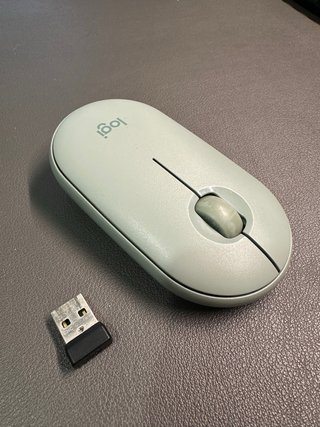 Pebble Mouse M350 - Verde Claro, incluye receptor