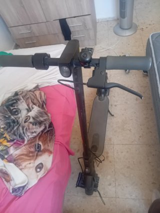 Patinete Eléctrico Xiaomi Esencial