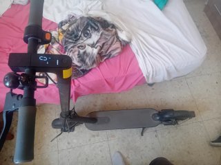Patinete Eléctrico Xiaomi Esencial