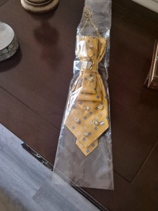 Corbata de seda con joyas
