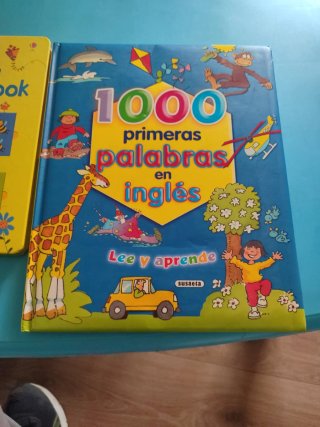 Libros sueltos o en lote para niños