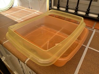 Bañera grande para reptiles naranja